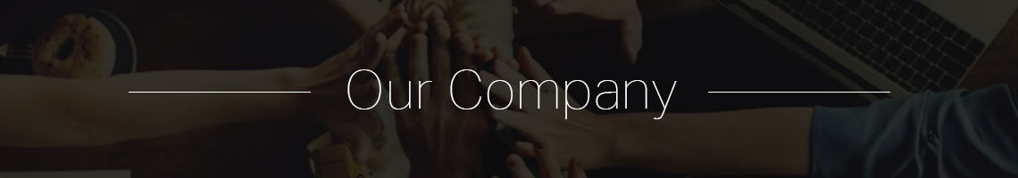 Our Company